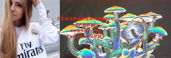соль ск Заводоуковск