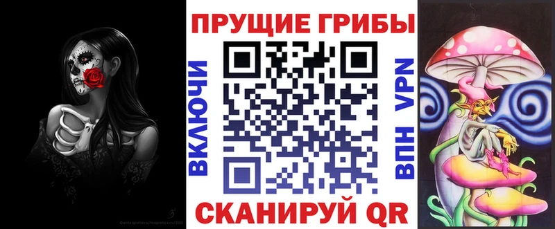 Галлюциногенные грибы мицелий  Купить где  Светлогорск 