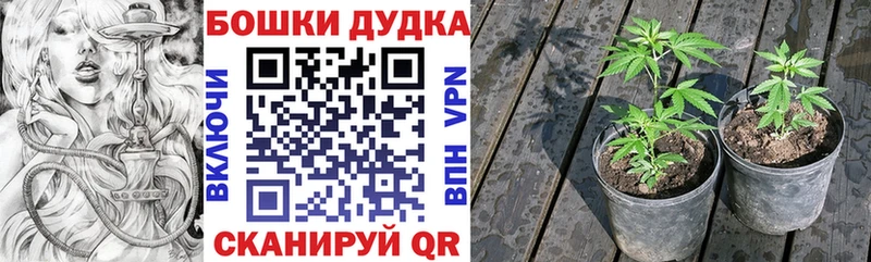 Купить закладки  Светлогорск  Шишки марихуана AK-47 
